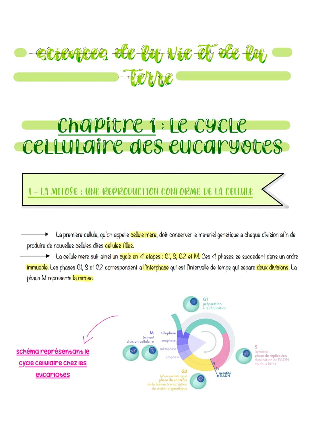 # sciences de lu Vie et de lau
terre
# Chapitre 1: Le Cycle
cellulaire des eucaryotes
I-LA MITOSE: UNE REPRODUCTION CONFORME DE LA CELLUL
