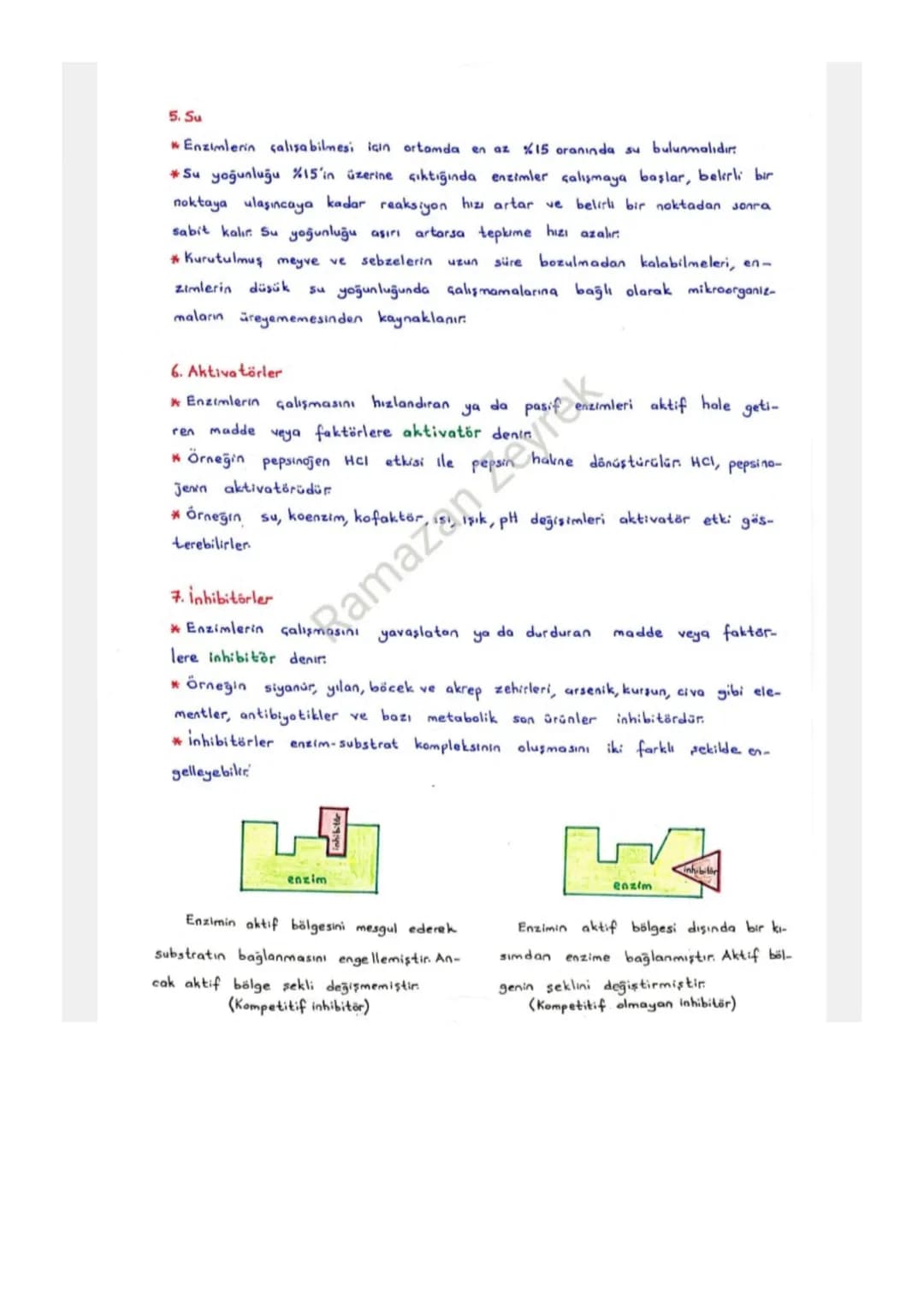ENZİMLER
* Protein yapılı biyolojik katalizörlerdir
* Reaksiyon sonunda değişmeden çıkarlar. Tekrar tekrar kullanılabilirler.
-Enzimler kull