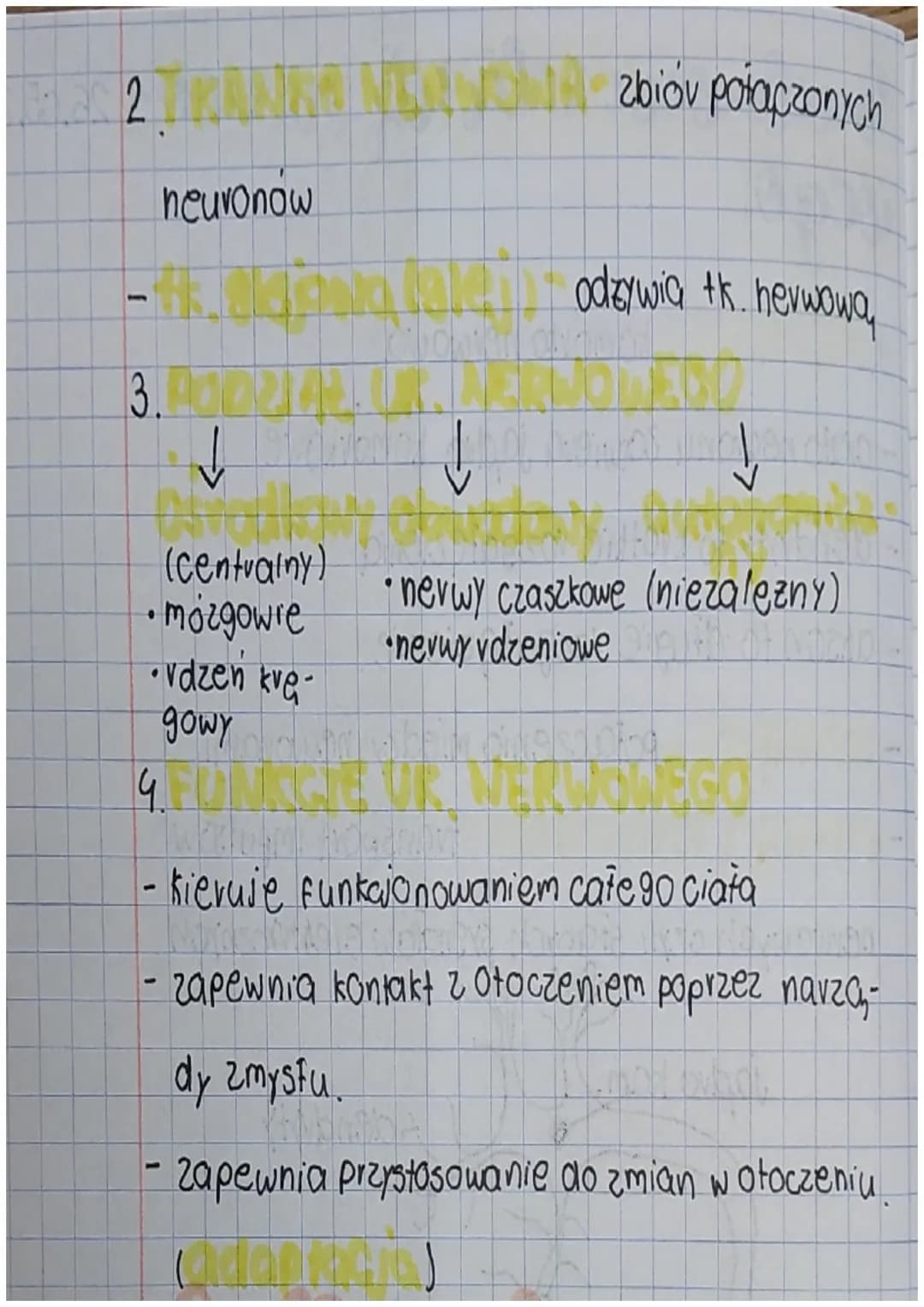 # budowa i rola uk. nowoo~ 26.05.23
wego
1.
- komórka nerwowa
- ciato neuronu zawiera jadro komórkowe
- dendvyty to krotkie vozgałęzien