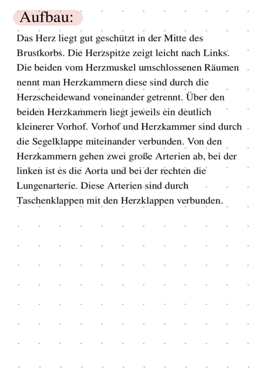 # Das Herz
3
4
5
1 Rechter Vorhof
2 Rechte Herzkammer
(Ventrikel)
(3) Kammerscheidewand
# Funktion:
4 Linker Vorhof
5 Linke Herzkam