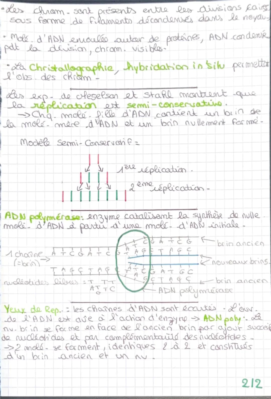 # La réplication
-de l'ADN
ADN :-Acice Désoxyribo Nucléique -
112
- Matériel génétique essentiel pour la reprodución
et le fonctionnement
