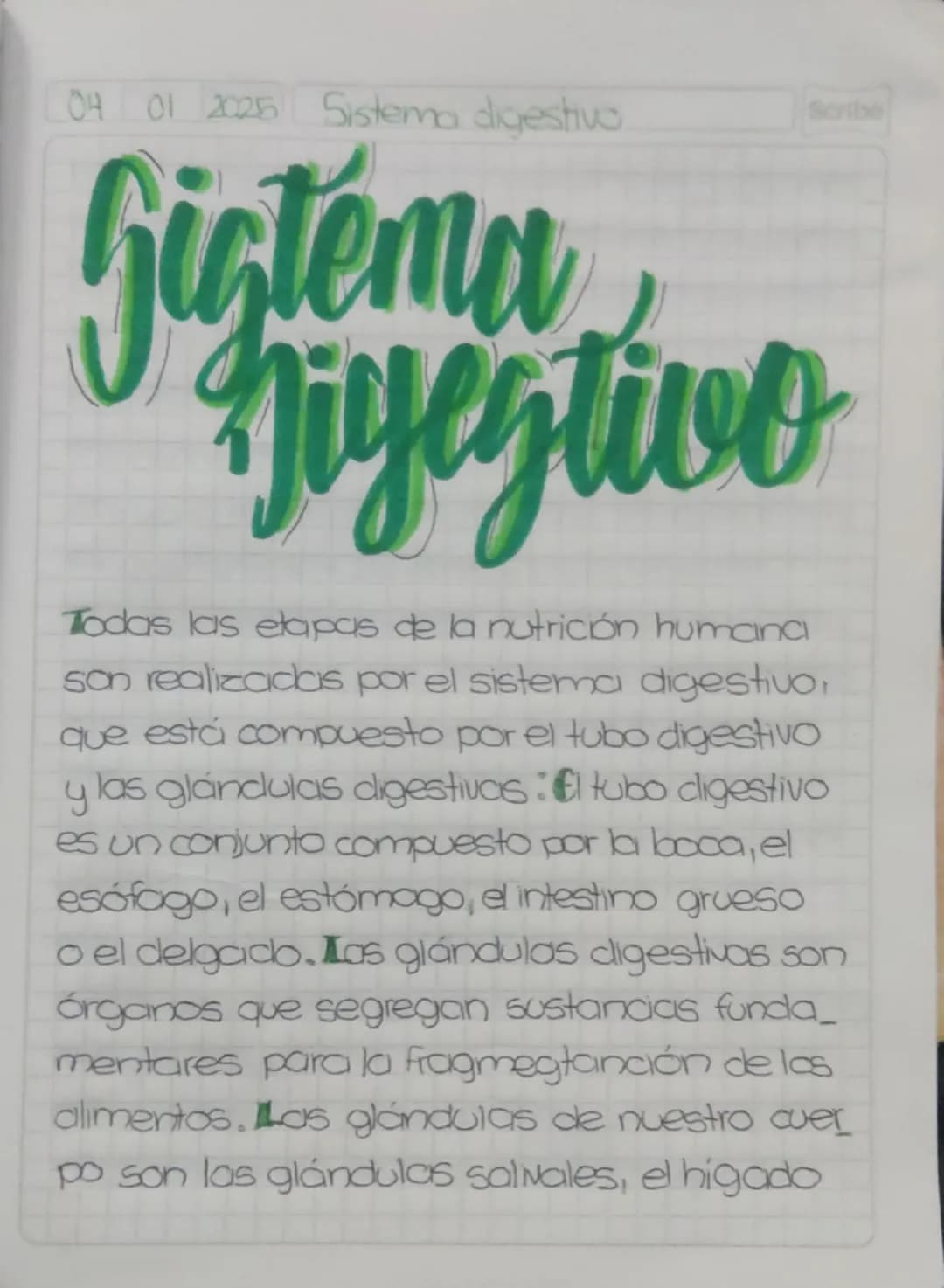 04 01 20255 Sistema digestivo.
Scribe
# Gistema
# Higestivo
Todas las etapas de la nutrición humana
son realizadas por el sistema digestivo,