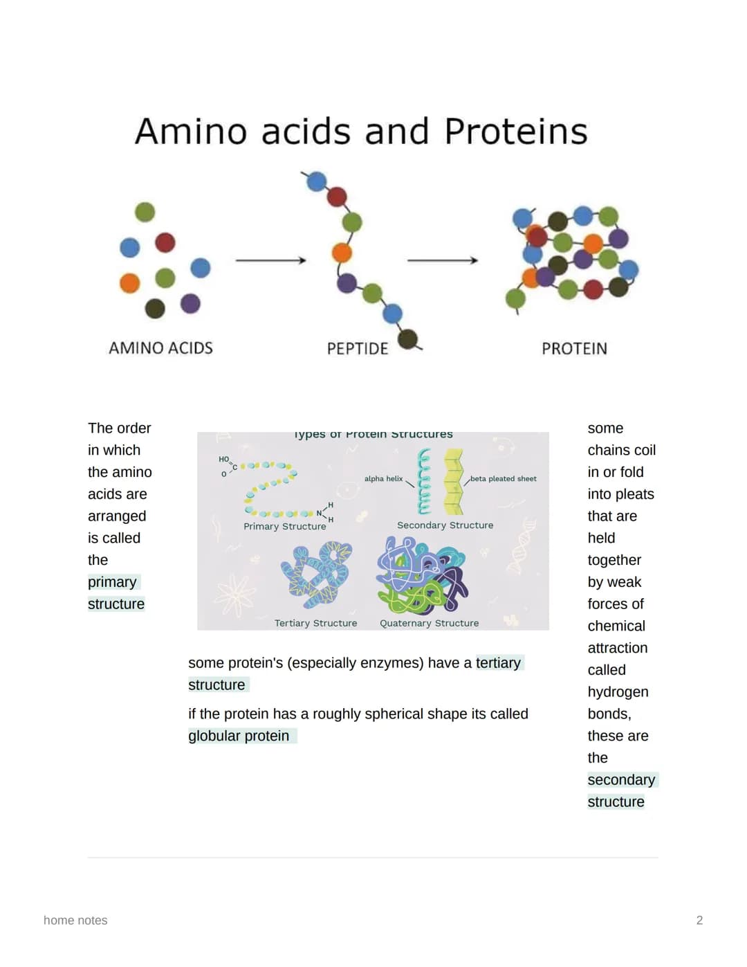 # home notes
# A-level Biology Proteins
Proteins are composed of long chains of amino acids. There are 20 different amino
acids used in pr