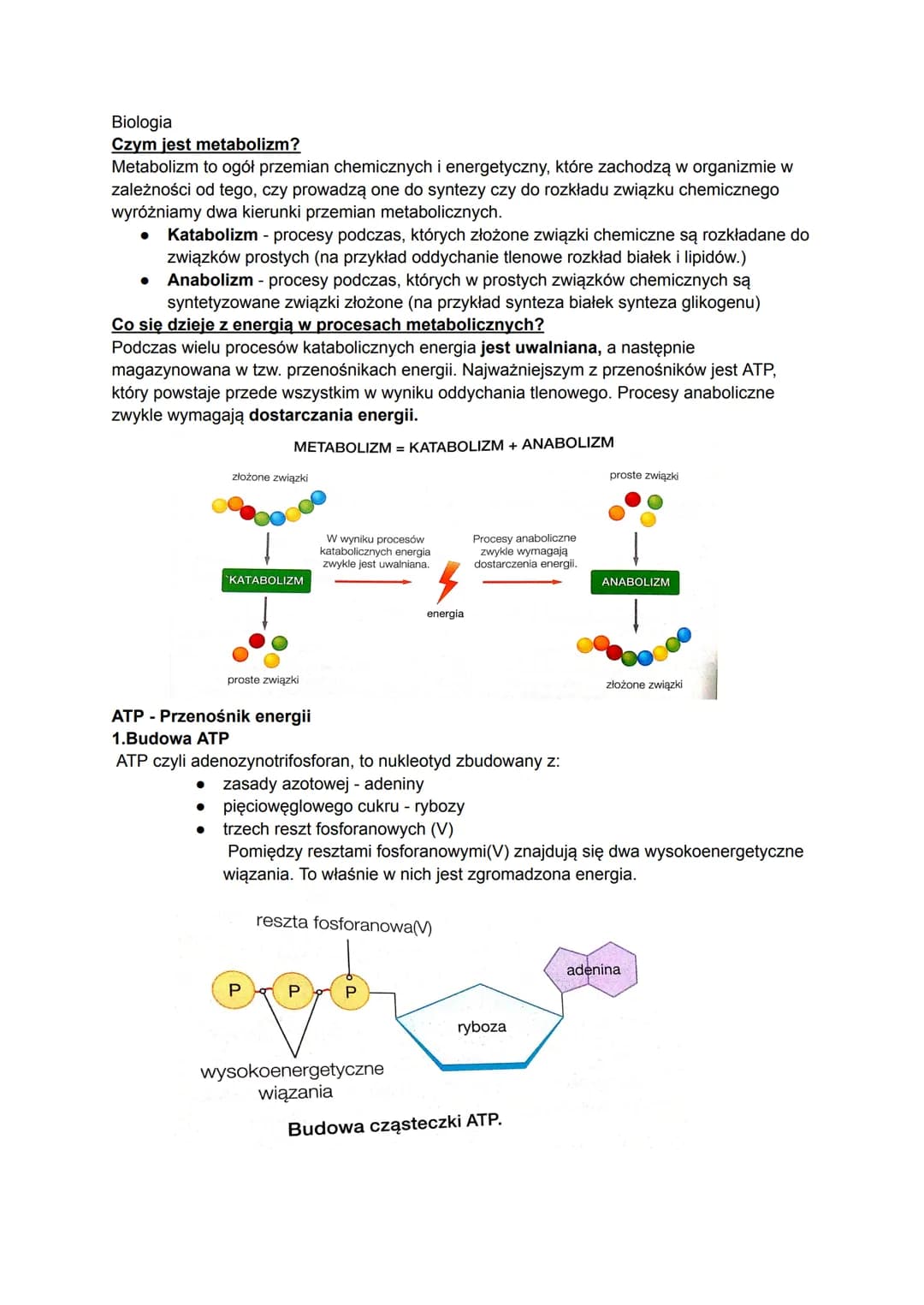 # Biologia
## Czym jest metabolizm?
Metabolizm to ogół przemian chemicznych i energetyczny, które zachodzą w organizmie w
zależności od te