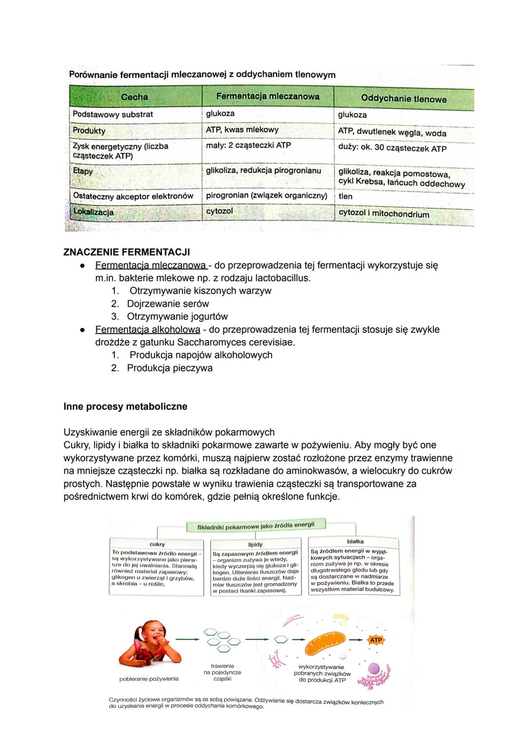 # Biologia
## Czym jest metabolizm?
Metabolizm to ogół przemian chemicznych i energetyczny, które zachodzą w organizmie w
zależności od te