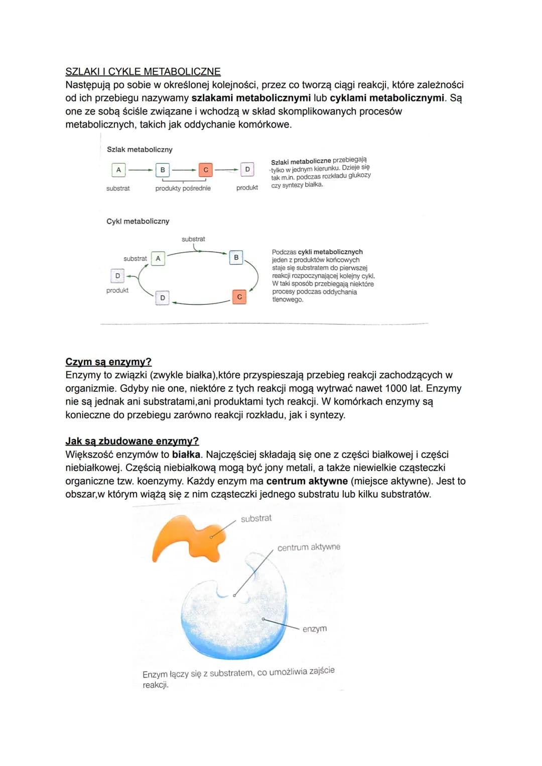 # Biologia
## Czym jest metabolizm?
Metabolizm to ogół przemian chemicznych i energetyczny, które zachodzą w organizmie w
zależności od te