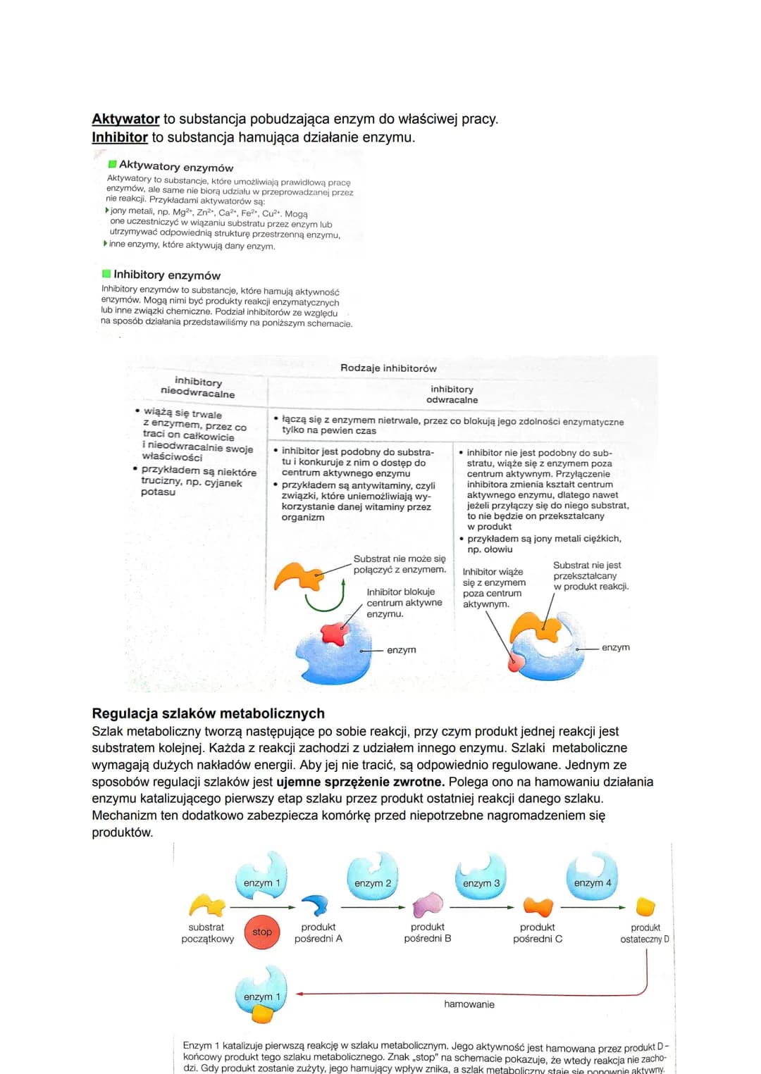 # Biologia
## Czym jest metabolizm?
Metabolizm to ogół przemian chemicznych i energetyczny, które zachodzą w organizmie w
zależności od te