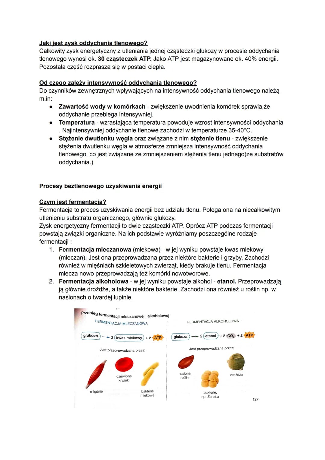 # Biologia
## Czym jest metabolizm?
Metabolizm to ogół przemian chemicznych i energetyczny, które zachodzą w organizmie w
zależności od te