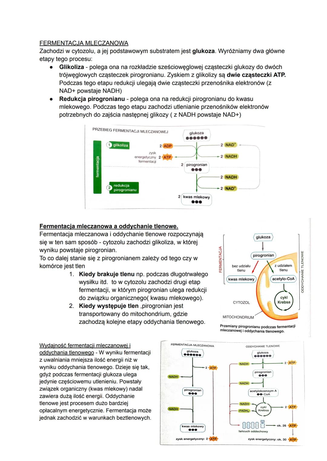 # Biologia
## Czym jest metabolizm?
Metabolizm to ogół przemian chemicznych i energetyczny, które zachodzą w organizmie w
zależności od te