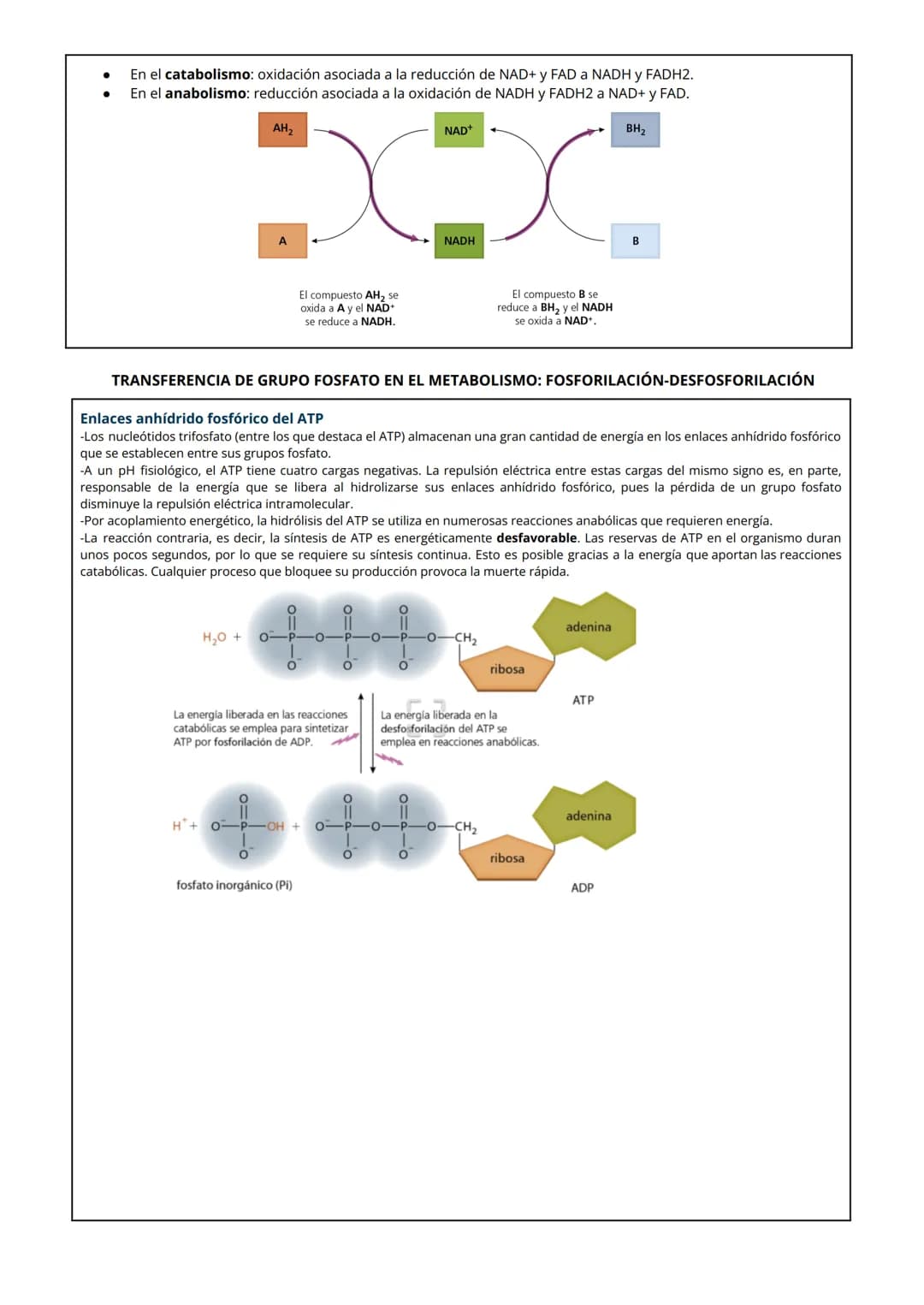 # TEMA 8: Metabolismo: catabolismo
# 1 NUTRICIÓN CELULAR Y METABOLISMO
La nutrición celular es el proceso global de intercambio y transform