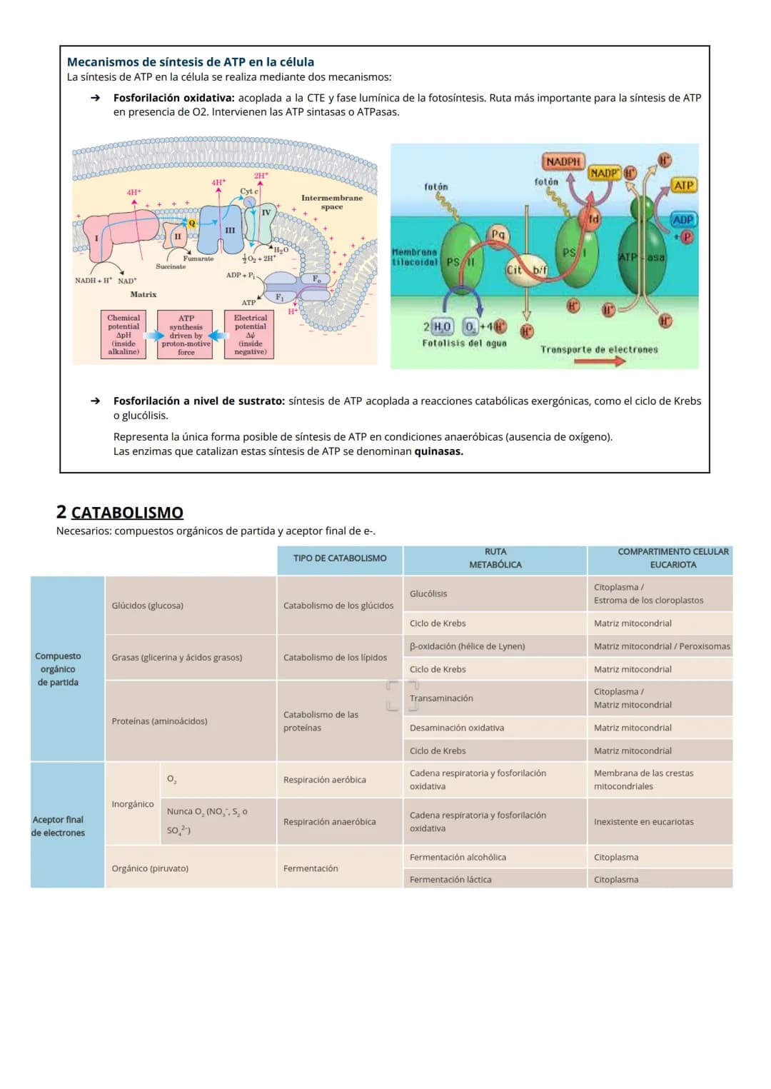 # TEMA 8: Metabolismo: catabolismo
# 1 NUTRICIÓN CELULAR Y METABOLISMO
La nutrición celular es el proceso global de intercambio y transform