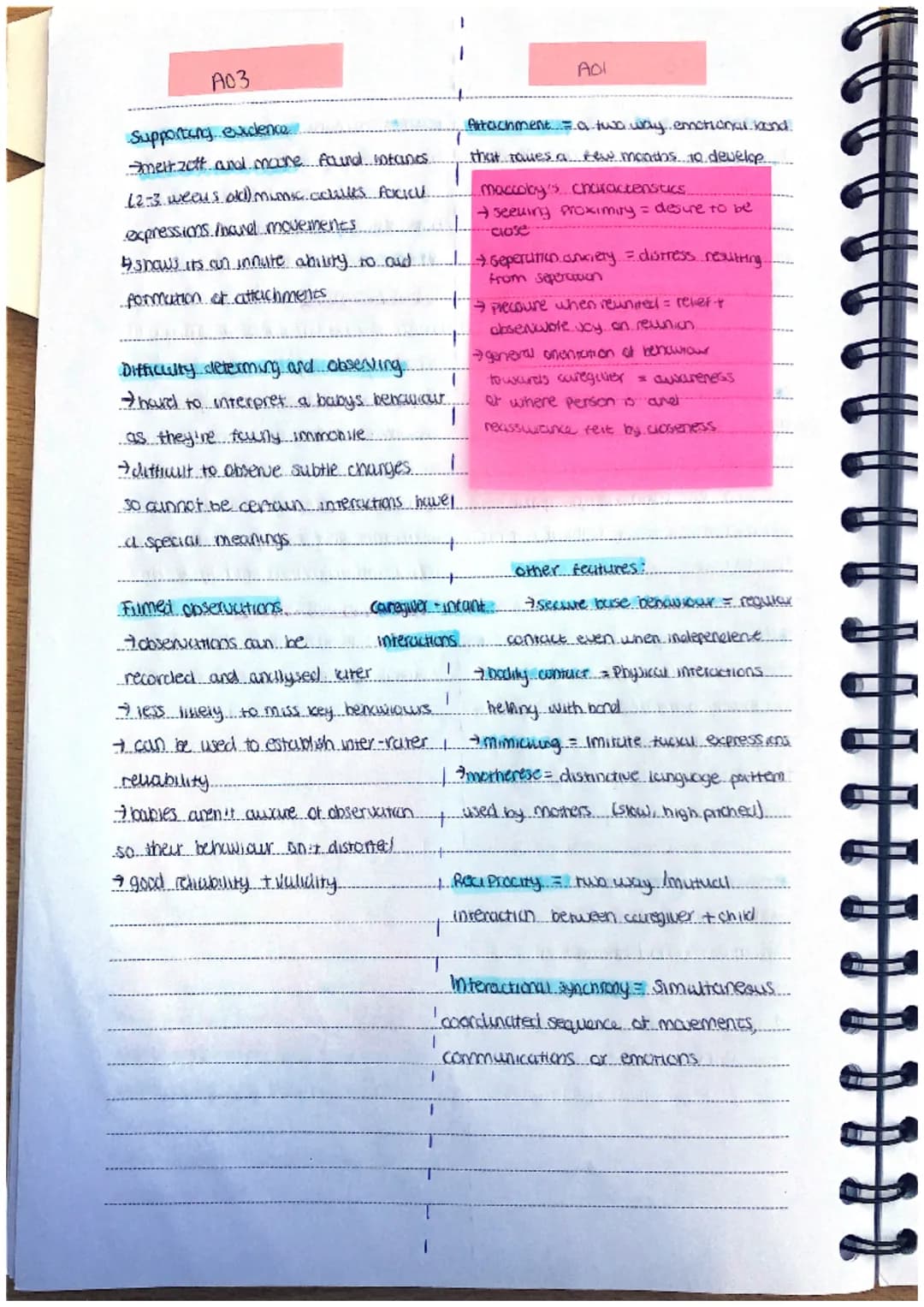 A03
Supporting evidence
-melt zott and more found lotanes
-(2-3 weeus old) municachilles FOCICU.
expressions. libcurel movesnents.
-shows i