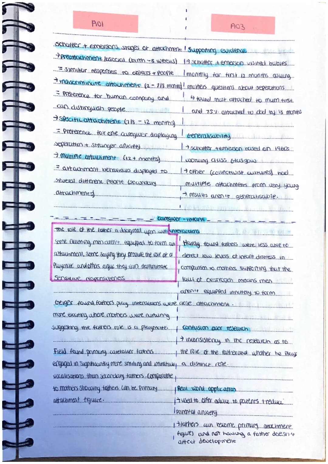 A03
Supporting evidence
-melt zott and more found lotanes
-(2-3 weeus old) municachilles FOCICU.
expressions. libcurel movesnents.
-shows i