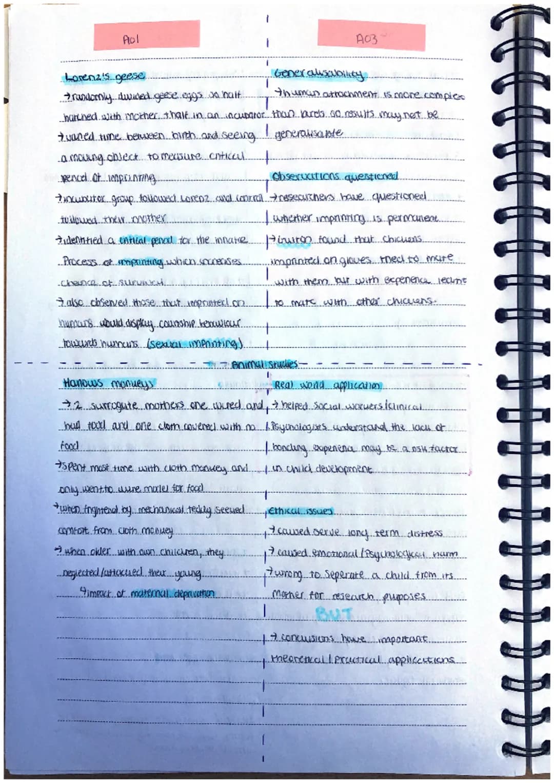 A03
Supporting evidence
-melt zott and more found lotanes
-(2-3 weeus old) municachilles FOCICU.
expressions. libcurel movesnents.
-shows i