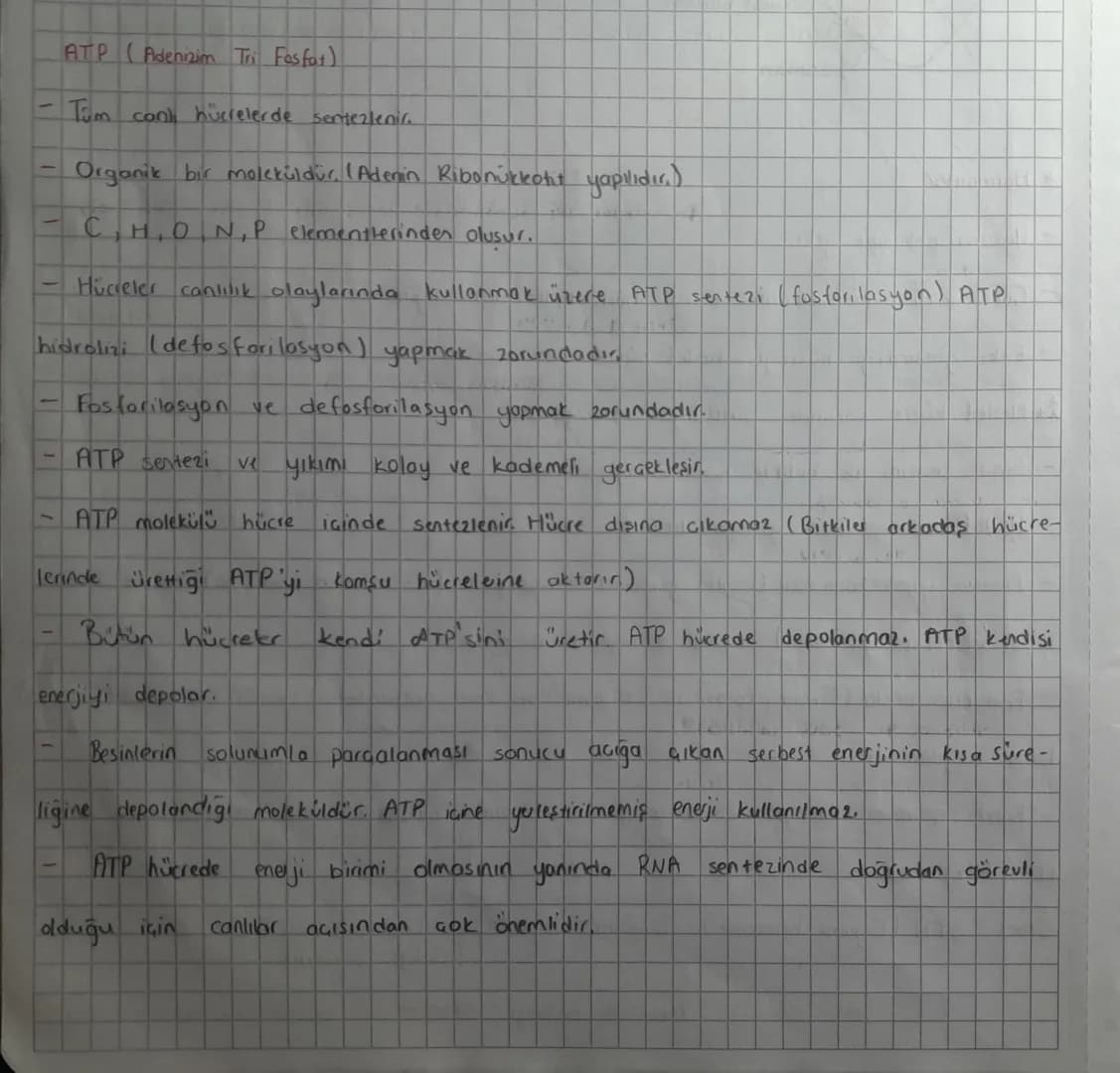 ATP (Adenizim Tri Fosfot)
- Tum canı hücrelerde sentezlenir.
- Organik bir mokküldür. (Adenin Ribonükleotit yapılıdır.)
- C,H,O,N,P eleme