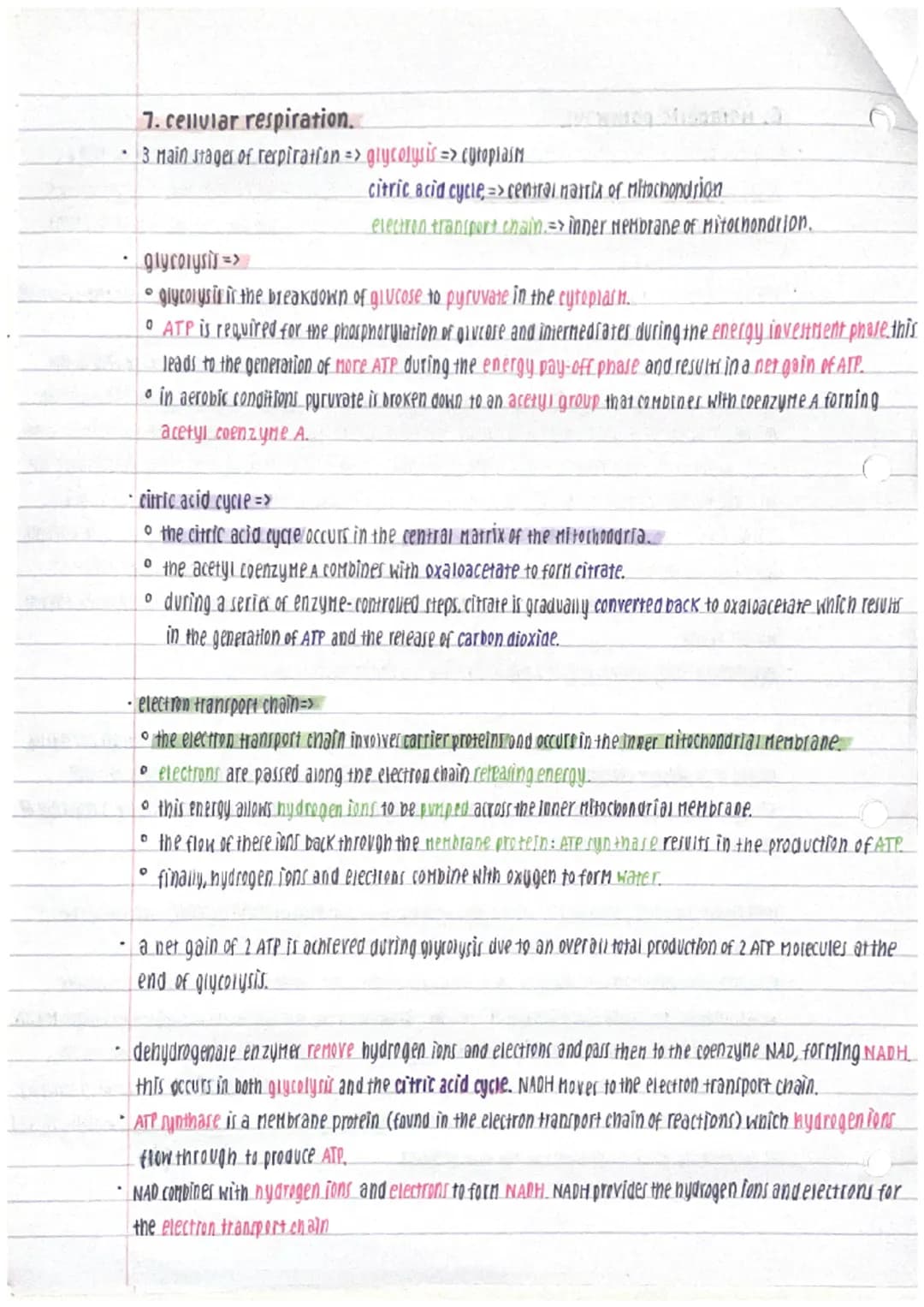 # unit 1-human cells
1. division and differentiation in numan cœlls
- somatic cells are any body cells not involved in reproduction.
- germ