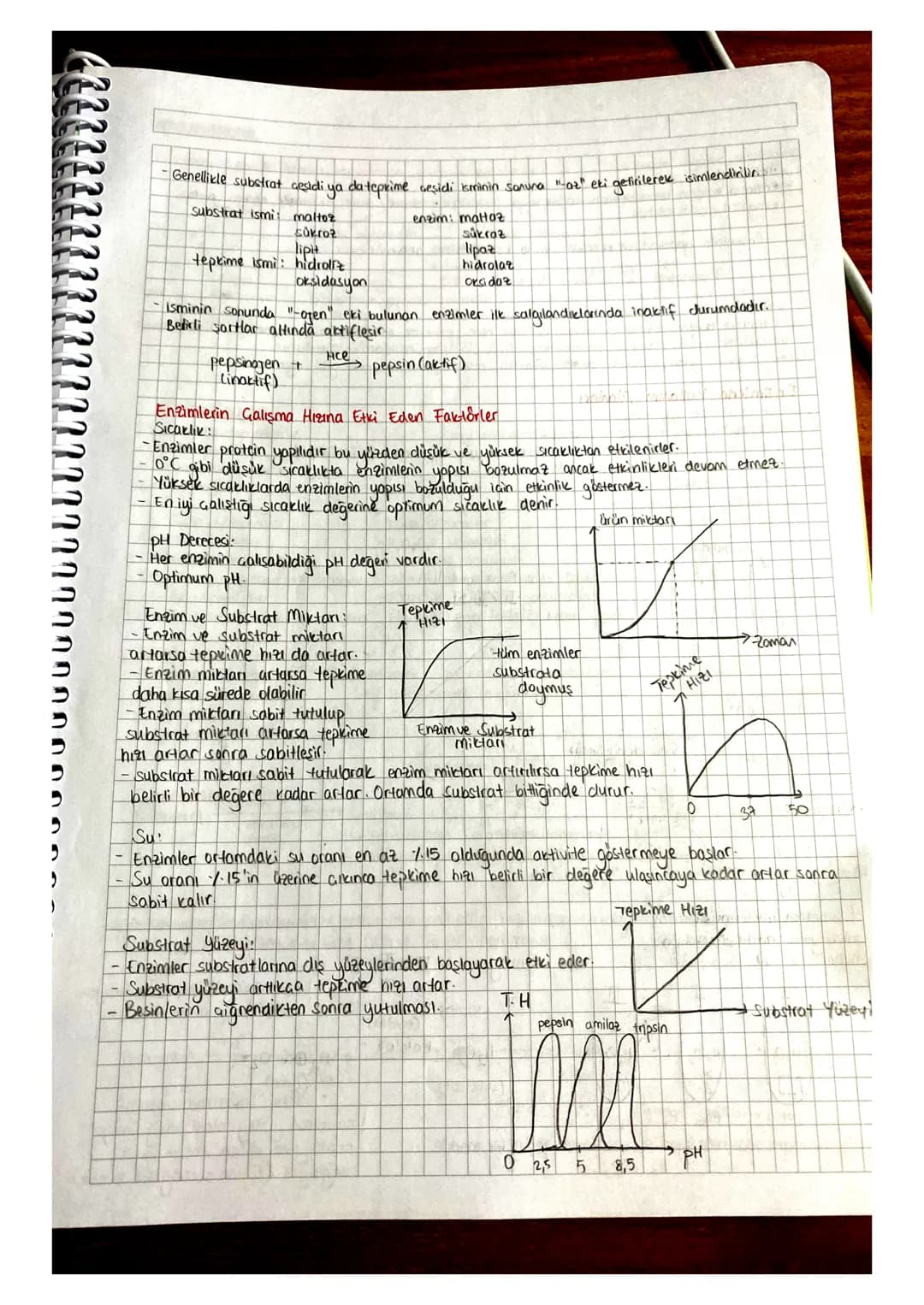 # Enzimler
Organik katalizörlerdir.
Reaksiyonu
Protein icerir.
Redeksiyonu u nalandını, değişmeden citar
Egzotermik Sveren
Endotermik alan
A