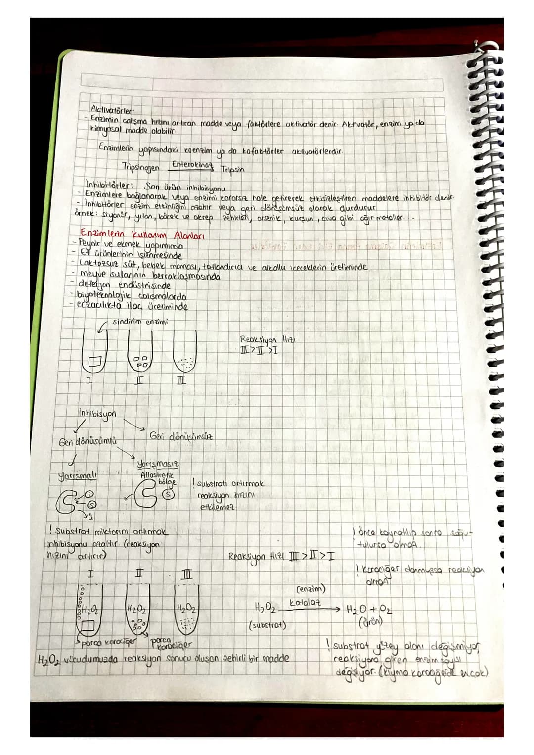 # Enzimler
Organik katalizörlerdir.
Reaksiyonu
Protein icerir.
Redeksiyonu u nalandını, değişmeden citar
Egzotermik Sveren
Endotermik alan
A