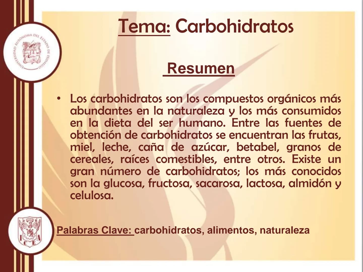 AUTONOMA DEL ESTADO
모
NIVERSIDAD
HIDA
ODTY
UNIVERSIDAD AUTÓNOMA DEL
ESTADO DE HIDALGO
Instituto de Ciencias Económico
Administrativas - Ár