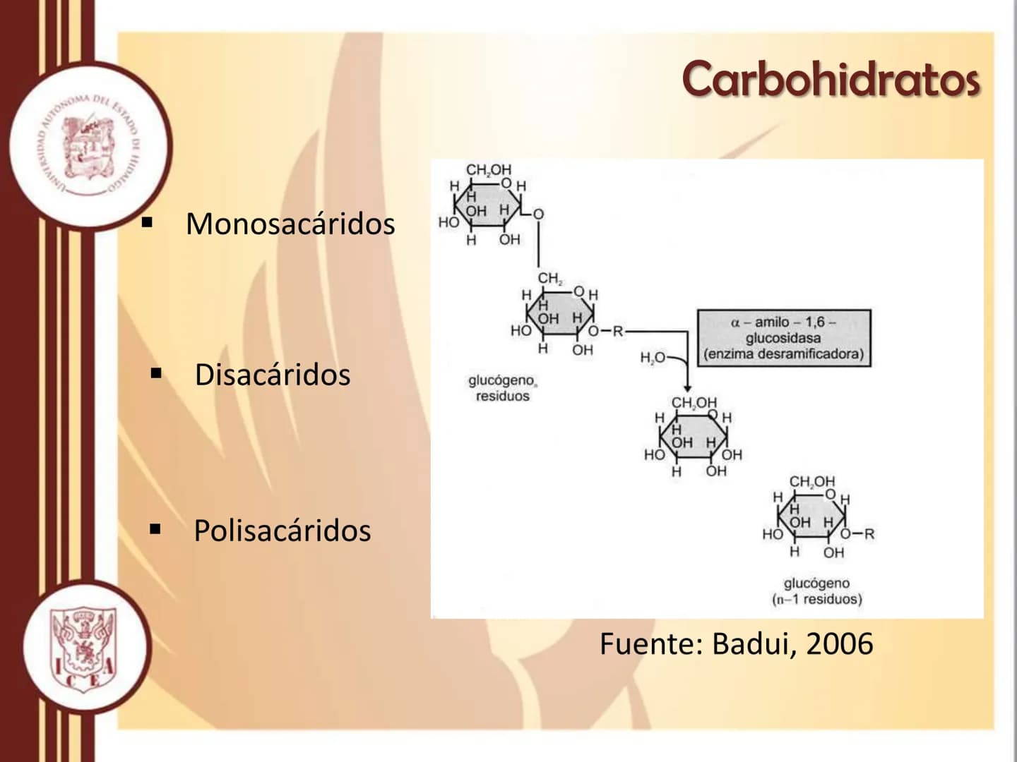 AUTONOMA DEL ESTADO
모
NIVERSIDAD
HIDA
ODTY
UNIVERSIDAD AUTÓNOMA DEL
ESTADO DE HIDALGO
Instituto de Ciencias Económico
Administrativas - Ár