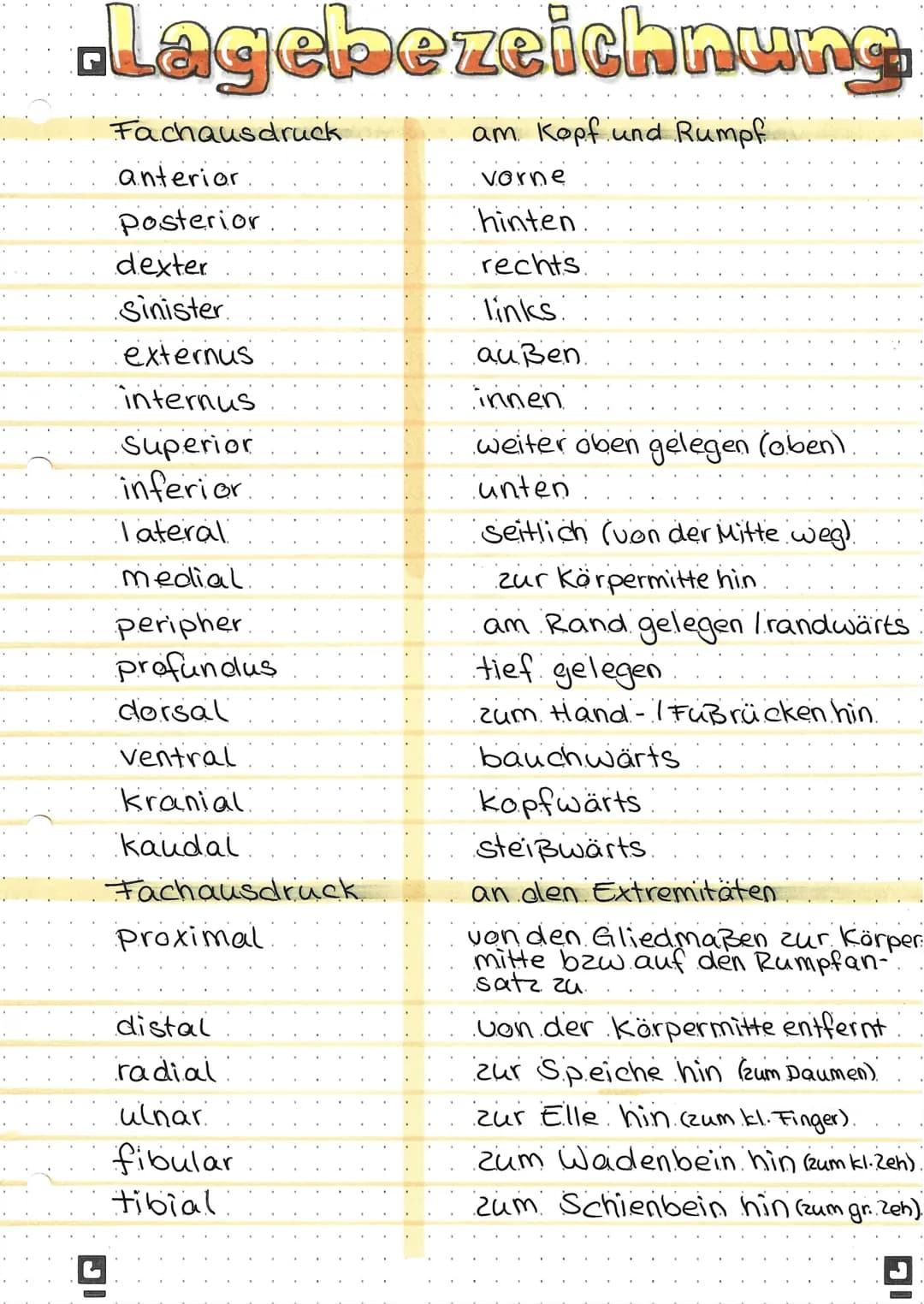 -Lagebezeichnung
Fachausdruck
am Kopf und Rumpf
L
anterior
vorne
Posterior
hinten.
dexter
rechts
Sinister
links
außen
externus
internus
inn