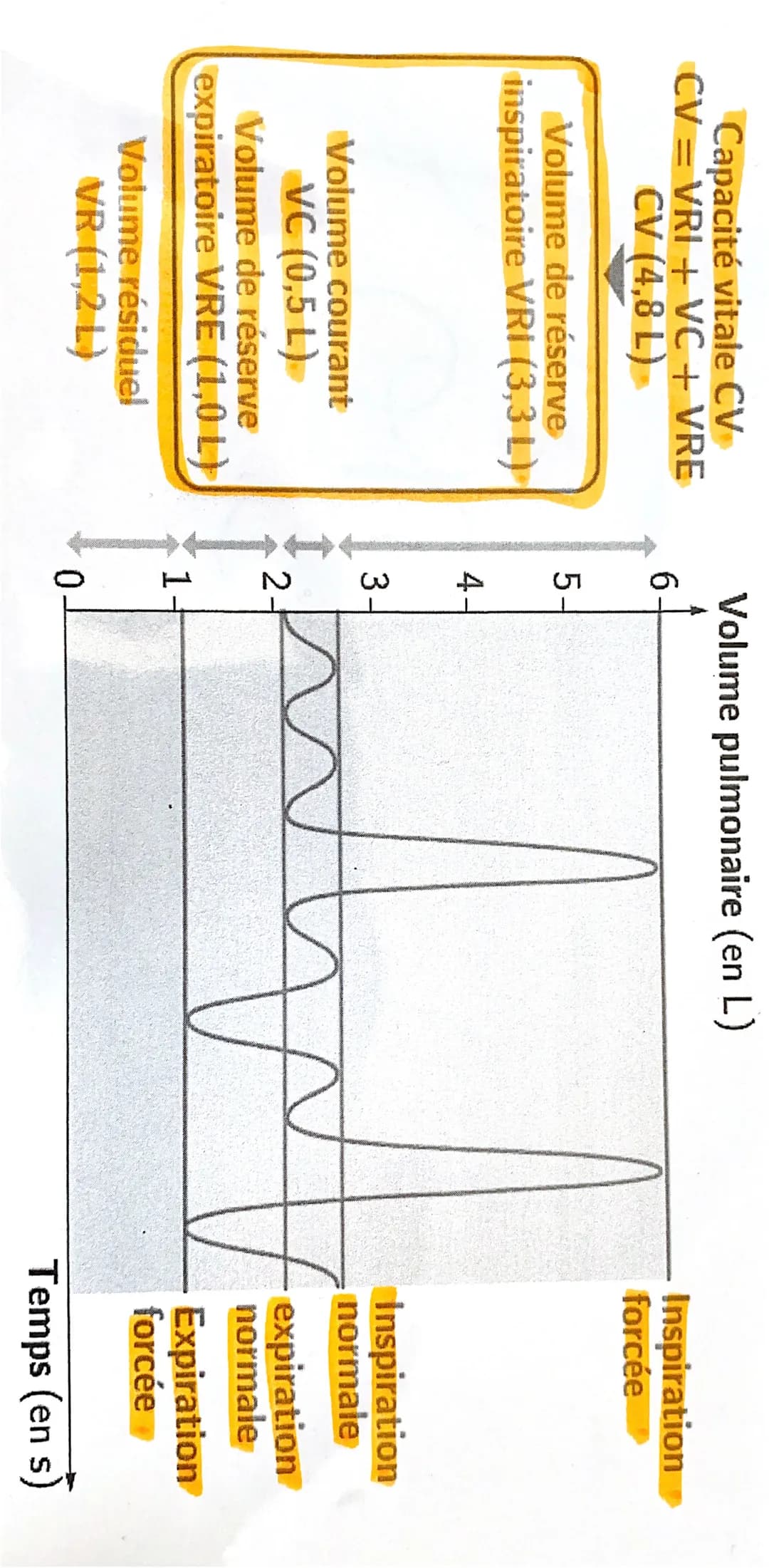 # da Spirométrie :
exploration Ponchionnelle respiratoire
do spirometrie :
L↳ mesure de la capacité respirotaire
d'un individu
Principe :