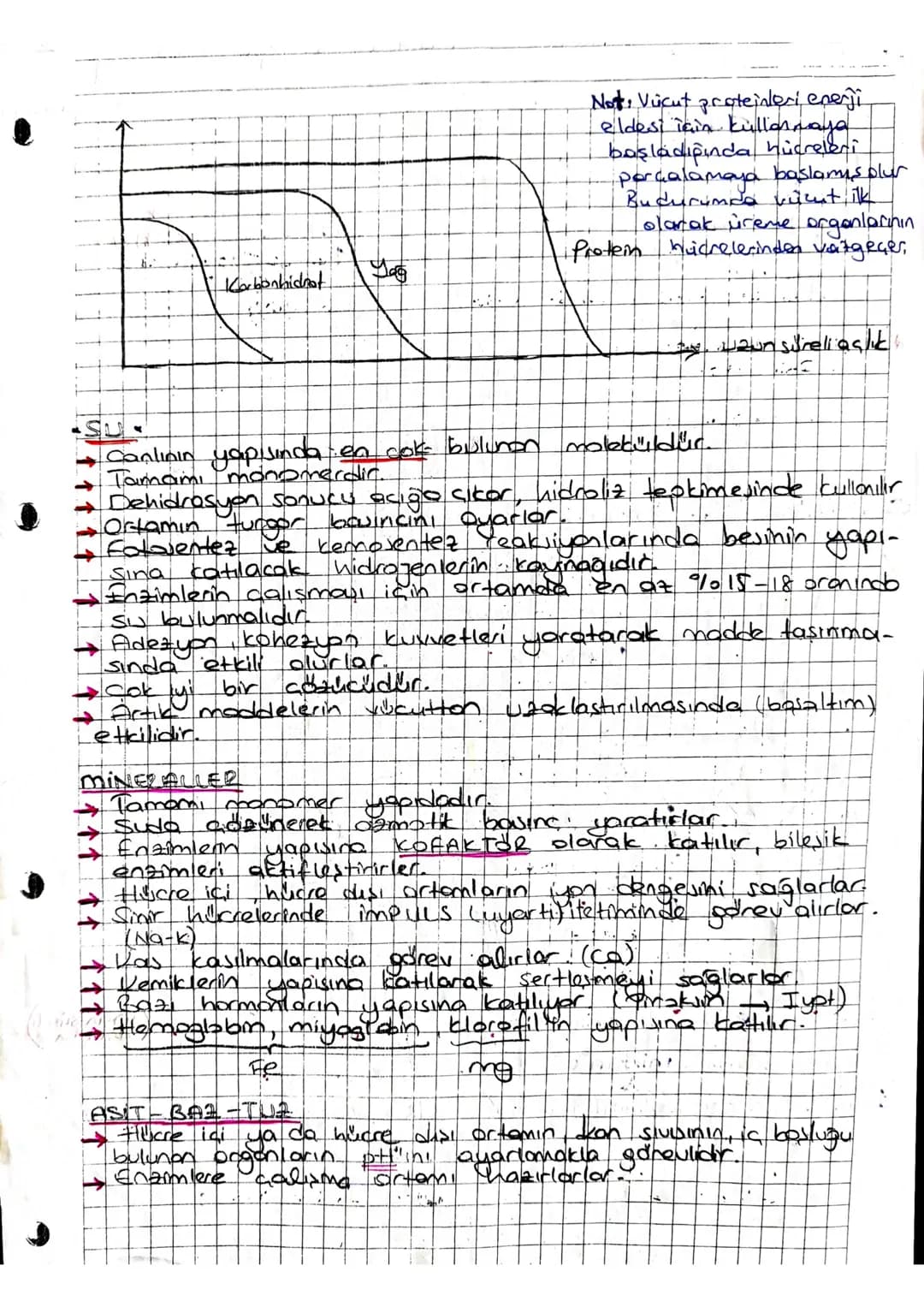 Cok
Atom Molekul Hücre Hücreli, Doku Organ Sistem
Canlıların Temel Bileşenteri
inorganik
1. Sutt601
• 2. mineral
3 Flektrolit (Asit-607-t