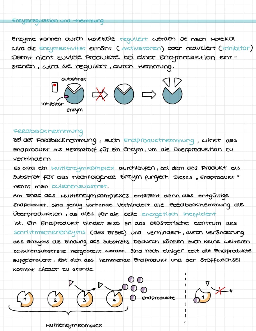 # STOFFWECHSEL
Enzyme Bau & Eigenschaften
-Enzyme sina Moleküle, die Stoffwechselvorgänge im Körper katalysieren.
wärena sie im organismus
