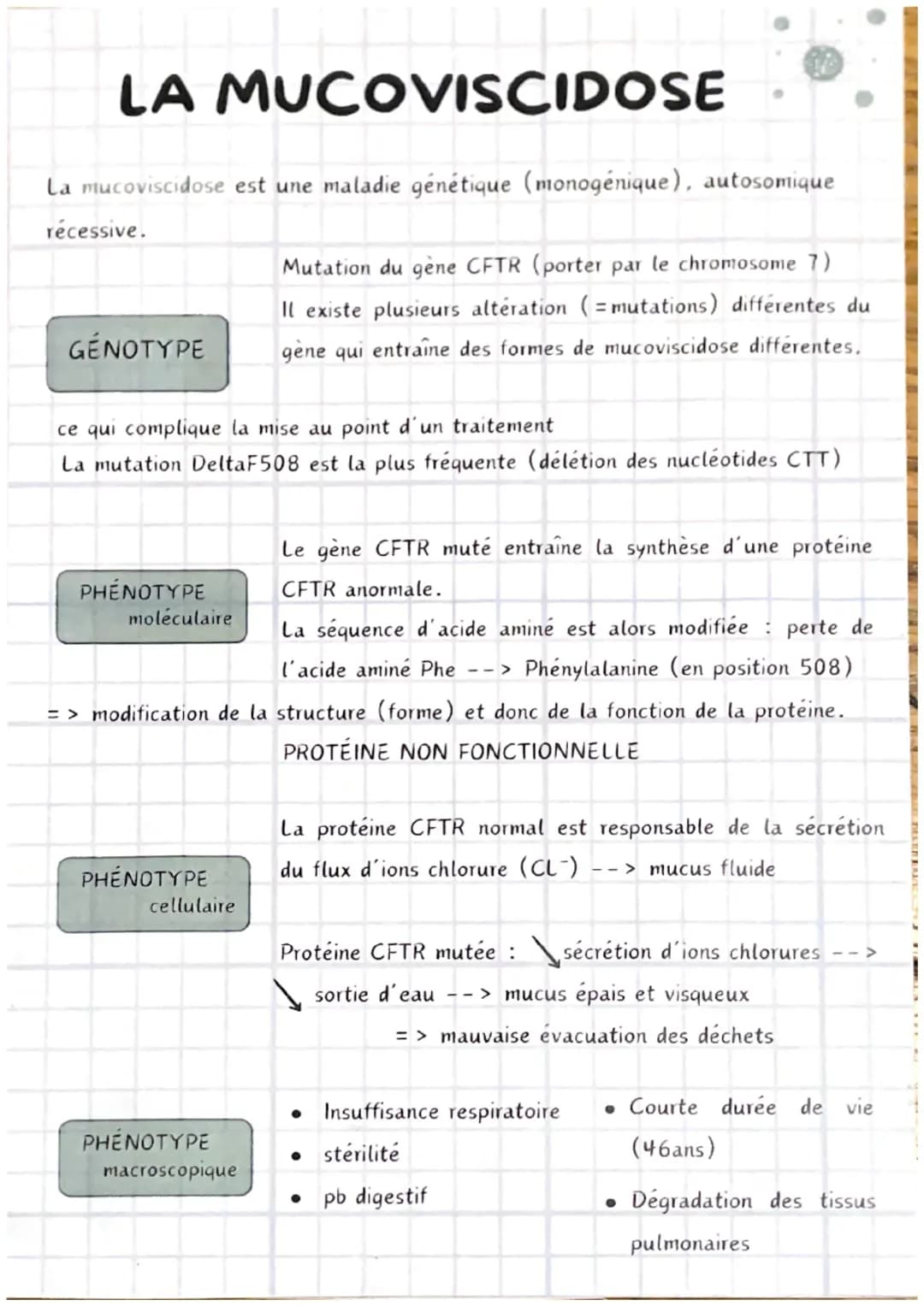 # LA MUCOVISCIDOSE
La mucoviscidose est une maladie génétique (monogénique), autosomique
récessive.
Mutation du gène CFTR (porter par le c