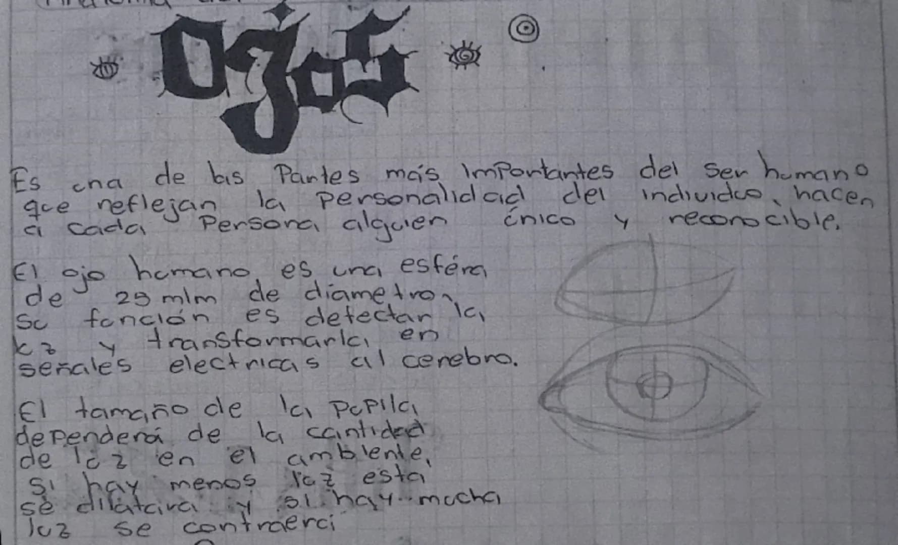 جمعہ
El craneo es una cajki iseci nos Protege de gapes. El
cranee se compone de & hueres que
enca cavidad y estos huesos son & Plans
Lura c