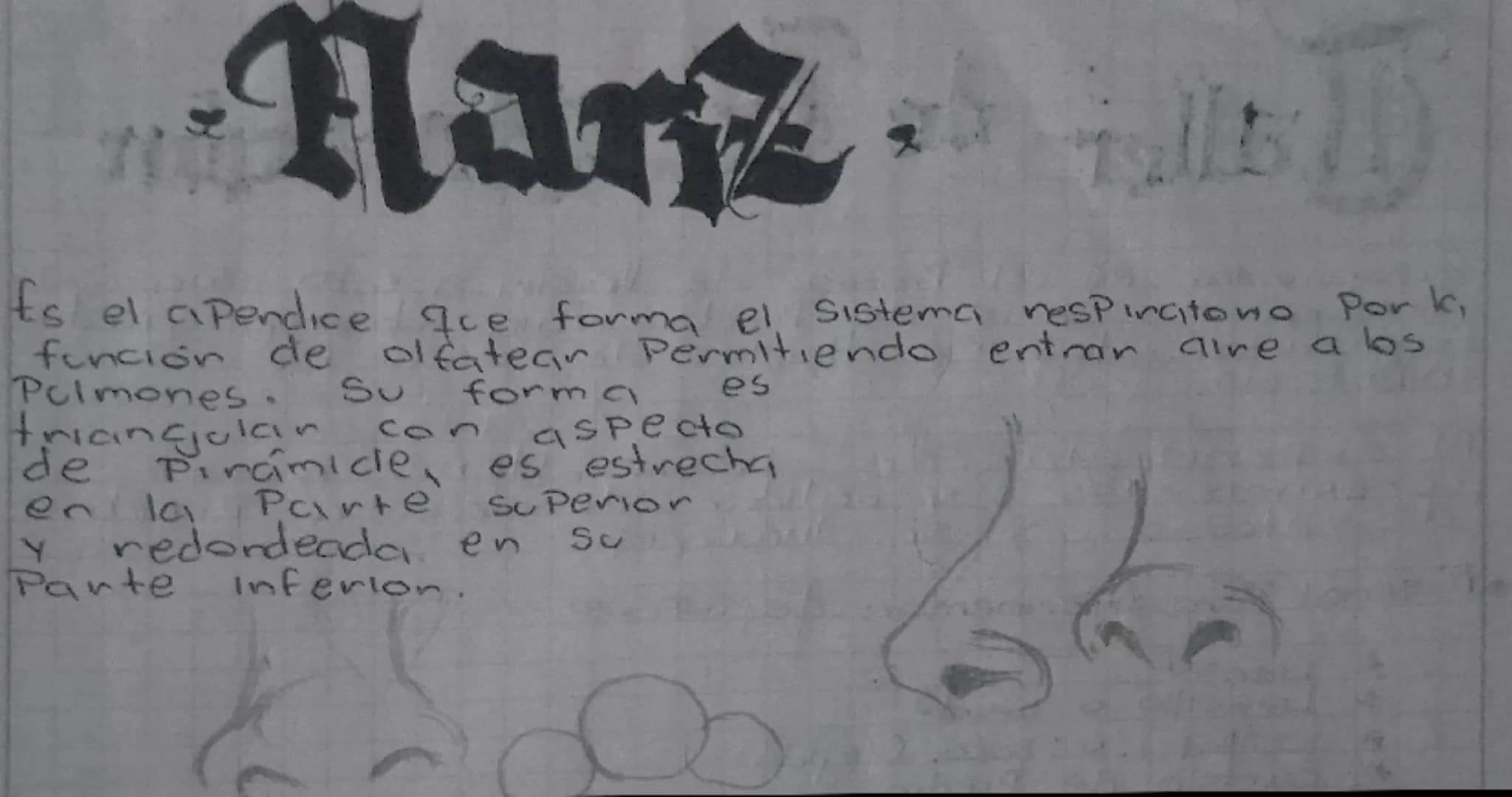 جمعہ
El craneo es una cajki iseci nos Protege de gapes. El
cranee se compone de & hueres que
enca cavidad y estos huesos son & Plans
Lura c