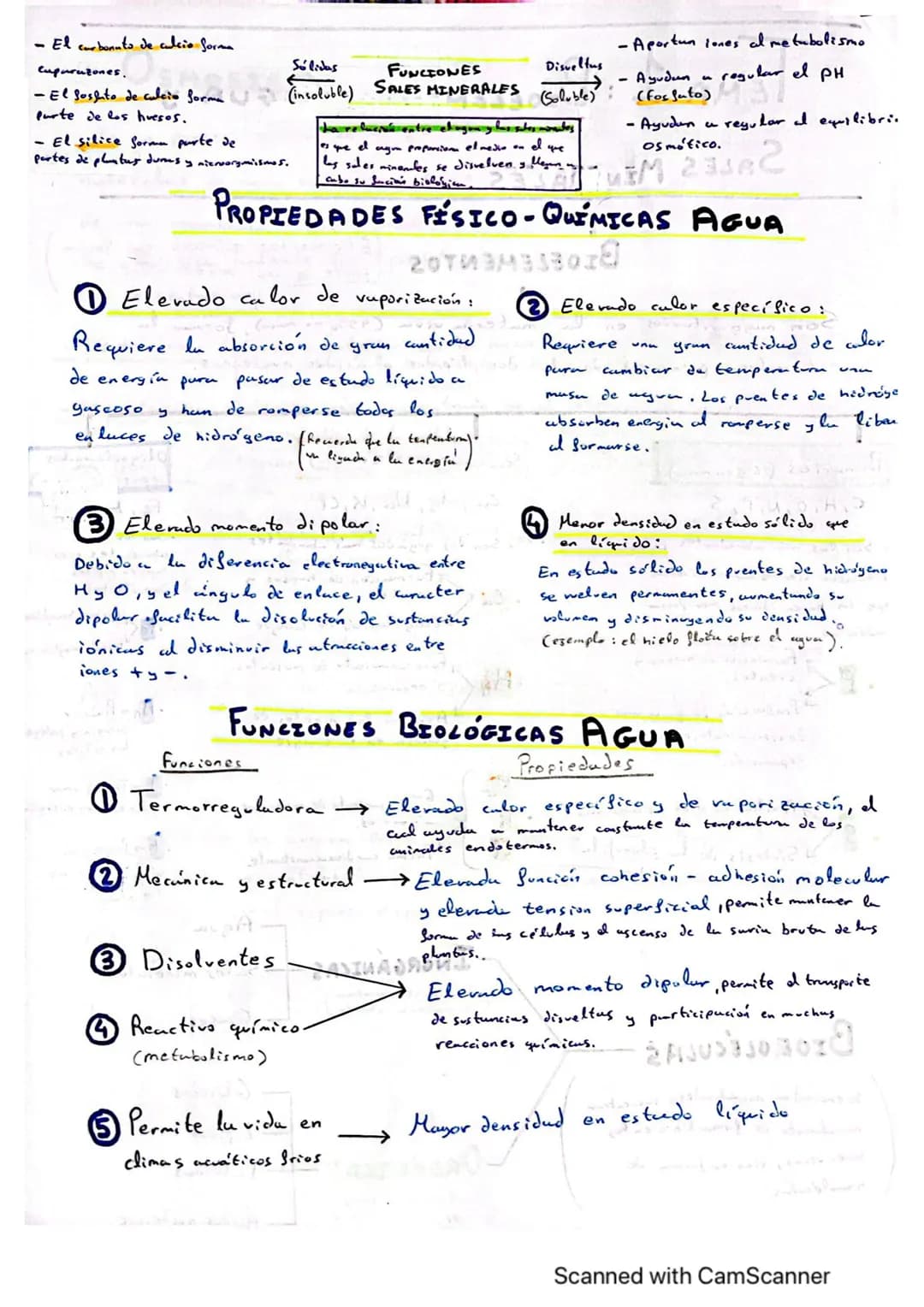 # TEMA 1: BIOELEMENTOS, AGUA Y
SALES MINERALES
AUBA RASIMONT
BIOELEMENTOS F
Son mayoritarios en
Elementos químicos que formom
parte de lo