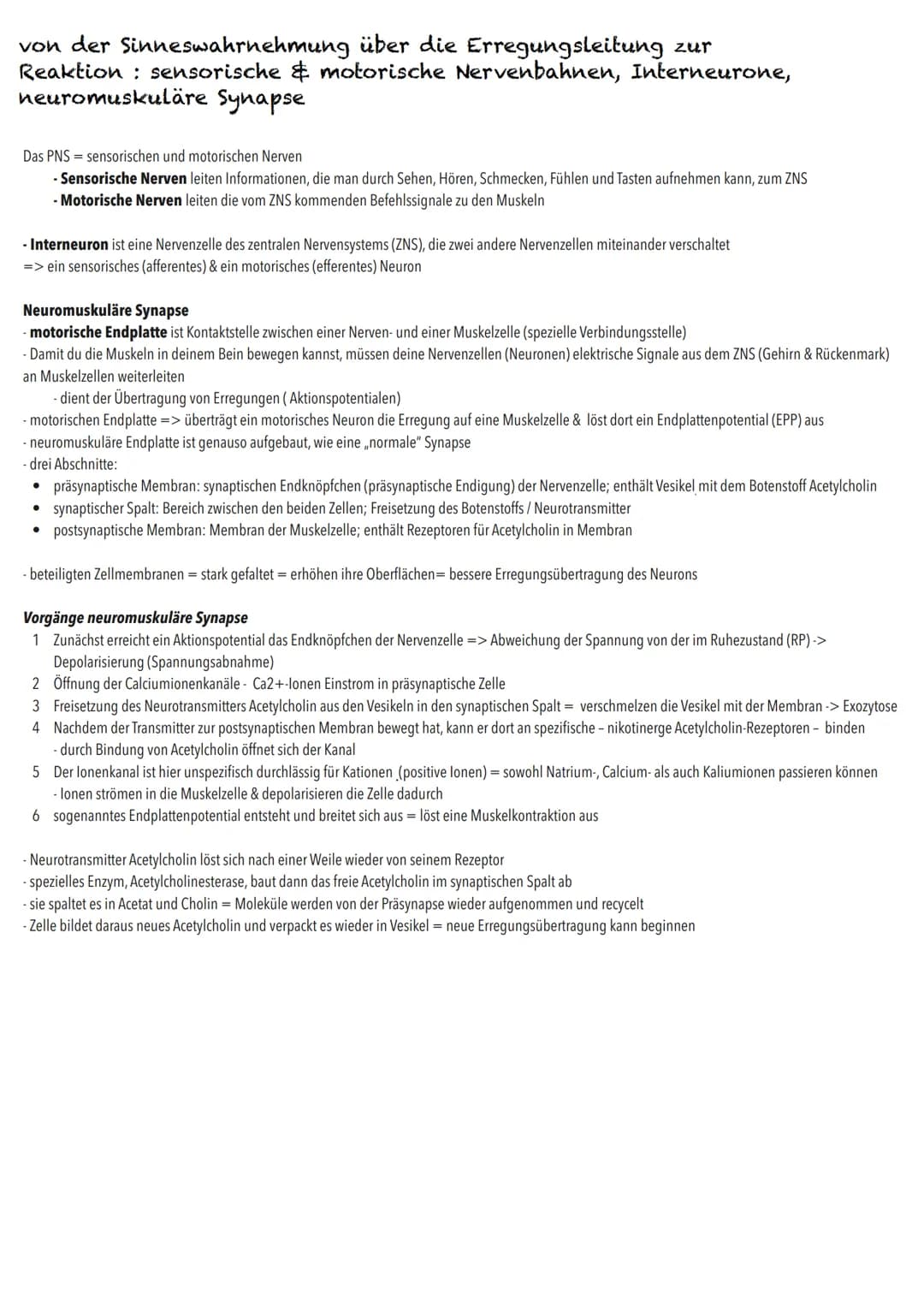 Q3
Neurobiologie # BIOLOGY Abitur Checkliste - Themenübersicht
Neurobiologie
Bau und Funktion der Nervenzelle: Ruhepotenzial, Aktionspoten