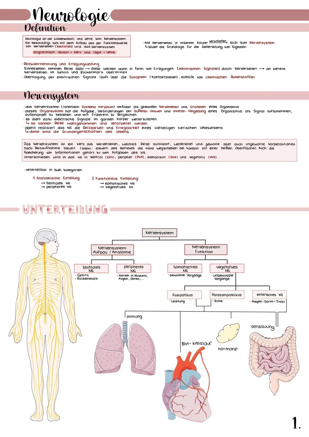 # Neurologie
Definition
Neurologie ist die Wissenschaft und enre vom Nervensystem.
Sie beschäftigt sich mit dem Aufbau und der Funktionsweis